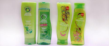 Three shampoo bottles with green labels showing lookalike designs