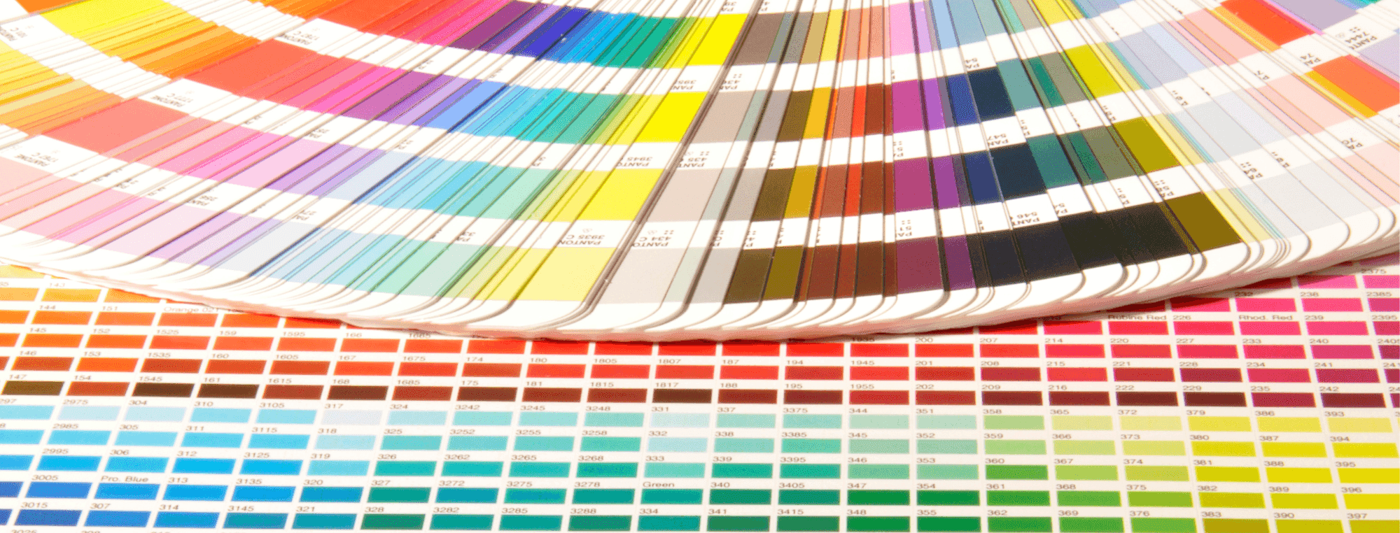 What is a Pantone® Book and Why Should I Care?